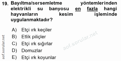 19. soru: Bayıltma/sersemletme yöntemlerinden elektrikli su banyosu en fazla hangi hayvanların kesim işleminde uygulanmaktadır?…