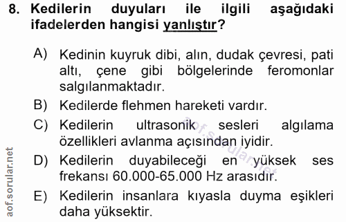 8. soru: Kedilerin duyuları ile ilgili aşağıdaki ifadelerden hangisi yanlıştır? A) Kedinin kuyruk dibi, alın, dudak çevresi, p…