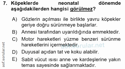 7. soru: Köpeklerde neonatal dönemde aşağıdakilerden hangisi görülmez? A) Gözlerin açılması ile birlikte yavru köpekler geriye…