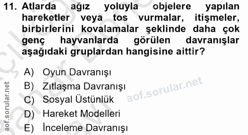11. soru: Atlarda ağız yoluyla objelere yapılan hareketler veya tos vurmalar, itişmeler, birbirlerini kovalamalar şeklinde daha…