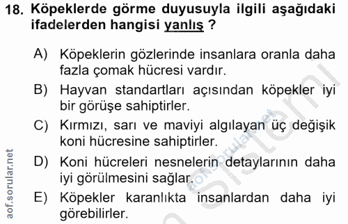 18. soru: Köpeklerde görme duyusuyla ilgili aşağıdaki ifadelerden hangisi yanlış ? A) Köpeklerin gözlerinde insanlara oranla da…
