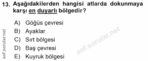 13. soru: Aşağıdakilerden hangisi atlarda dokunmaya karşı en duyarlı bölgedir? A) Göğüs çevresi B) Ayaklar Ilar.nel C) Sırt böl…