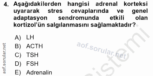4. soru: Aşağıdakilerden hangisi adrenal korteksi uyararak stres cevaplarında ve genel adaptasyon sendromunda etkili olan kort…