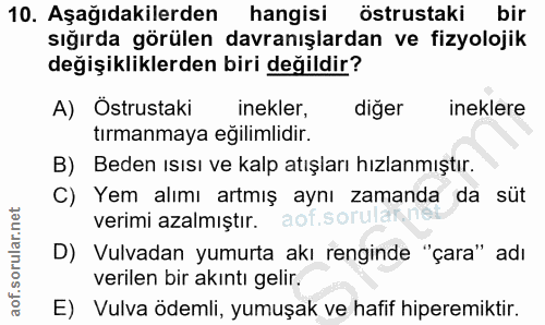 10. soru: Aşağıdakilerden hangisi östrustaki bir sığırda görülen davranışlardan ve fizyolojik değişikliklerden biri değildir? A…