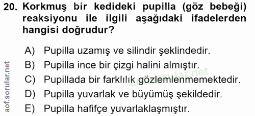 20. soru: Korkmuş bir kedideki pupilla (göz bebeği) reaksiyonu ile ilgili aşağıdaki ifadelerden hangisi doğrudur? A) Pupilla uz…