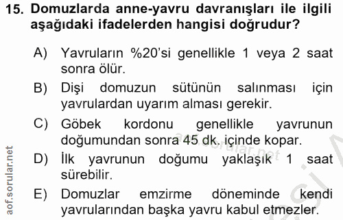 15. soru: Domuzlarda anne-yavru davranışları ile ilgili aşağıdaki ifadelerden hangisi doğrudur? A) Yavruların %20'si genellikle…
