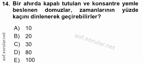 14. soru: Bir ahırda kapalı tutulan ve konsantre yemle beslenen domuzlar, zamanlarının yüzde kaçını dinlenerek geçirebilirler?…
