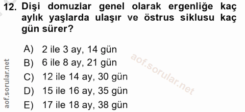 12. soru: Dişi domuzlar genel olarak ergenliğe kaç aylık yaşlarda ulaşır ve östrus siklusu kaç gün sürer? A) 2 ile 3 ay, 14 gün…