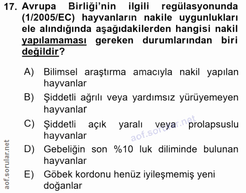 17. soru: Avrupa Birliği'nin ilgili regülasyonunda (1/2005/EC) hayvanların nakile uygunlukları ele alındığında aşağıdakilerden…