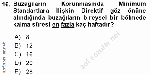 16. soru: Buzağıların Korunmasında Minimum Standartlara İlişkin Direktif göz önüne alındığında buzağıların bireysel bir bölmede…