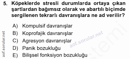 5. soru: Köpeklerde stresli durumlarda ortaya çıkan şartlardan bağımsız olarak ve abartılı biçimde sergilenen tekrarlı davranı…