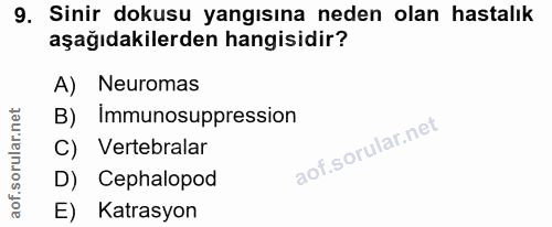 9. soru: Sinir dokusu yangısına neden olan hastalık aşağıdakilerden hangisidir? A) Neuromas B) Immunosuppression C) Vertebrala…
