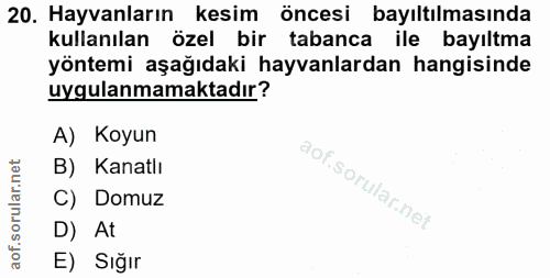 20. soru: Hayvanların kesim öncesi bayıltılmasında kullanılan özel bir tabanca ile bayıltma yöntemi aşağıdaki hayvanlardan hang…