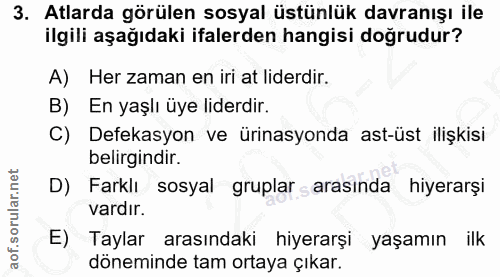 3. soru: Atlarda görülen sosyal üstünlük davranışı ile ilgili aşağıdaki ifalerden hangisi doğrudur? A) Her zaman en iri at lid…