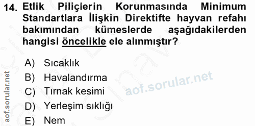 14. soru: Etlik Piliçlerin Korunmasında Minimum Standartlara İlişkin Direktifte hayvan refahı bakımından kümeslerde aşağıdakile…