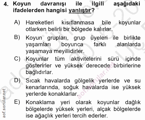4. soru: Koyun davranışı ile ilgili aşağıdaki ifadelerden hangisi yanlıştır? A) Hareketleri kısıtlanmasa bile koyunlar otlarke…