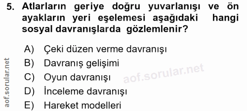 5. soru: Atlarların geriye doğru yuvarlanışı ve ön ayakların yeri eşelemesi aşağıdaki hangi sosyal davranışlarda gözlemlenir?…