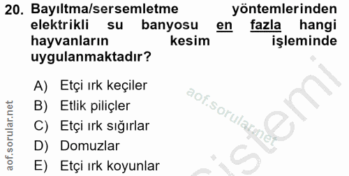 20. soru: Bayıltma/sersemletme yöntemlerinden elektrikli su banyosu en fazla hangi hayvanların kesim işleminde uygulanmaktadır?…