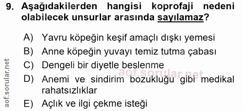 9. soru: Aşağıdakilerden hangisi koprofaji nedeni olabilecek unsurlar arasında sayılamaz? A) Yavru köpeğin keşif amaçlı dışkı…