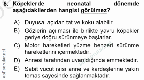 8. soru: Köpeklerde neonatal dönemde aşağıdakilerden hangisi görülmez? A) Duyusal açıdan tat ve koku alabilir. B) Gözlerin açı…