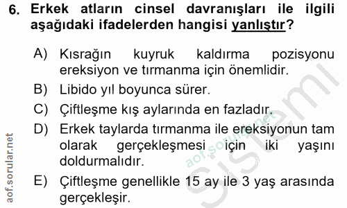 6. soru: Erkek atların cinsel davranışları ile ilgili aşağıdaki ifadelerden hangisi yanlıştır? A) Kısrağın kuyruk kaldırma poz…