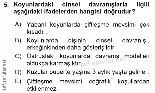 5. soru: Koyunlardaki cinsel davranışlarla ilgili aşağıdaki ifadelerden hangisi doğrudur? A) Yabani koyunlarda çiftleşme mevsi…
