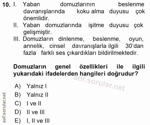 10. soru: I. Yaban domuzlarının beslenme davranışlarında koku alma duyusu çok önemlidir. Il. Yaban domuzlarında işitme duyusu ç…
