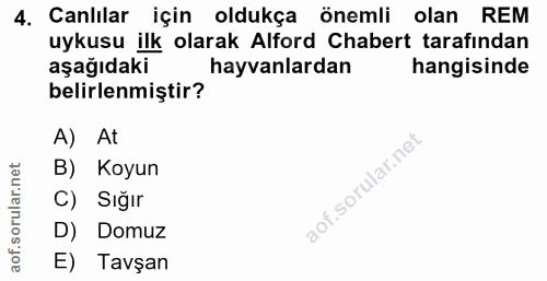 4. soru: Canlılar için oldukça önemli olan REM uykusu ilk olarak Alford Chabert tarafından aşağıdaki hayvanlardan hangisinde b…