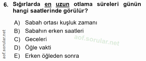 6. soru: Sığırlarda en uzun otlama süreleri günün hangi saatlerinde görülür? A) Sabah ortası kuşluk zamanı B) Sabahın erken sa…