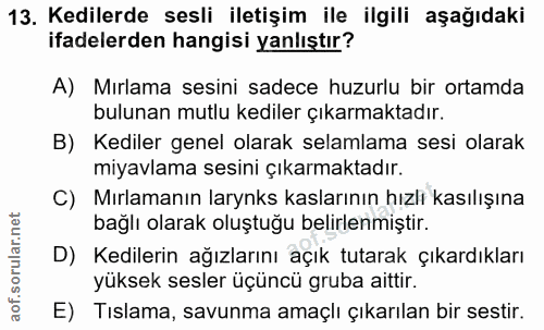 13. soru: Kedilerde sesli iletişim ile ilgili aşağıdaki ifadelerden hangisi yanlıştır? A) Mırlama sesini sadece huzurlu bir ort…