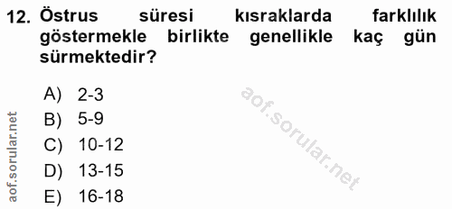 12. soru: Östrus süresi kısraklarda farklılık göstermekle birlikte genellikle kaç gün sürmektedir? A) 2-3 B) 5-9 of. C) 10-12 D…