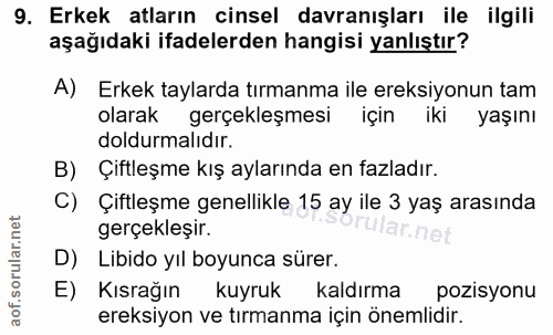 9. soru: Erkek atların cinsel davranışları ile ilgili aşağıdaki ifadelerden hangisi yanlıştır? A) Erkek taylarda tırmanma ile…