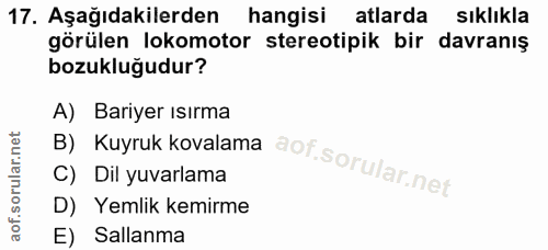 17. soru: Aşağıdakilerden hangisi atlarda sıklıkla görülen lokomotor stereotipik bir davranış bozukluğudur? A) Bariyer ısırma B…
