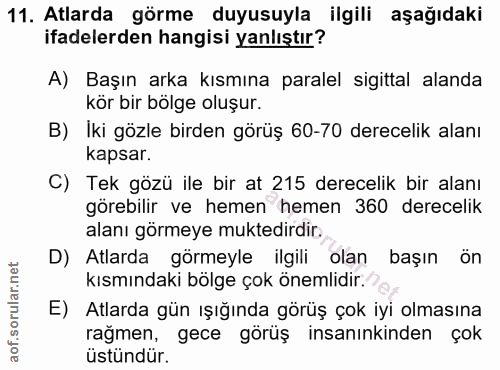 11. soru: Atlarda görme duyusuyla ilgili aşağıdaki ifadelerden hangisi yanlıştır? A) Başın arka kısmına paralel sigittal alanda…