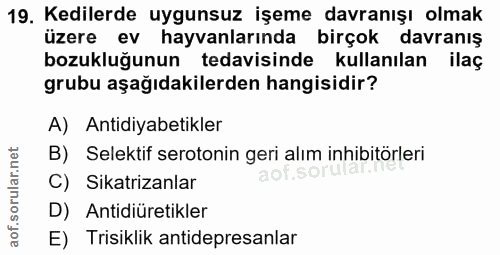 19. soru: Kedilerde uygunsuz işeme davranışı olmak üzere ev hayvanlarında birçok davranış bozukluğunun tedavisinde kullanılan i…