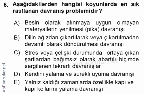 6. soru: Aşağıdakilerden hangisi koyunlarda en Sık rastlanan davranış problemidir? A) Besin olarak alınmaya uygun olmayan mate…