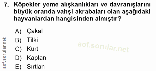 7. soru: Köpekler yeme alışkanlıkları ve davranışlarını büyük oranda vahşi akrabaları olan aşağıdaki hayvanlardan hangisinden…