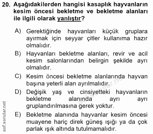 20. soru: Aşağıdakilerden hangisi kasaplık hayvanların kesim öncesi bekletme ve bekletme alanları ile ilgili olarak yanlıştır?…