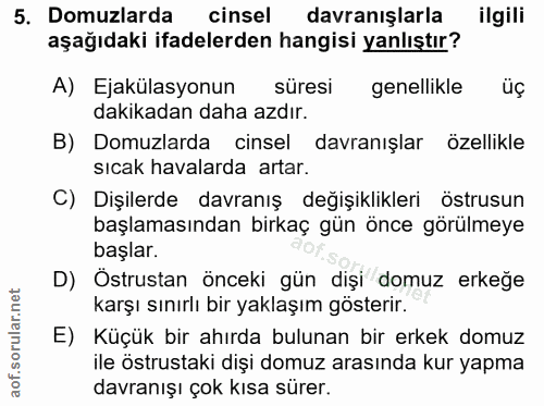 5. soru: Domuzlarda cinsel davranışlarla ilgili aşagıdaki ifadelerden hangisi yanlıştır? A) Ejakülasyonun süresi genellikle üç…