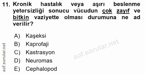 11. soru: Kronik hastalık veya aşırı beslenme yetersizliği sonucu vücudun çok zayıf ve bitkin vaziyette olması durumuna ne ad v…