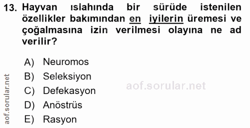 13. soru: Hayvan ıslahında bir sürüde istenilen özellikler bakımından en iyilerin üremesi ve çoğalmasına izin verilmesi olayına…