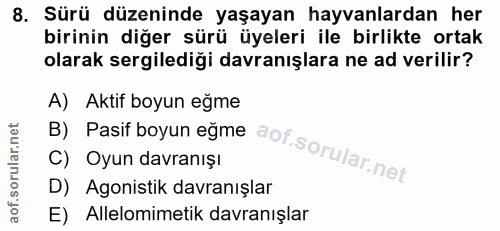 8. soru: Sürü düzeninde yaşayan hayvanlardan her birinin diğer sürü üyeleri ile birlikte ortak olarak sergilediği davranışlara…