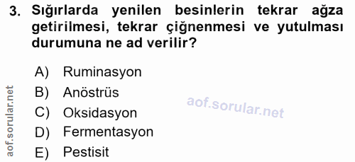 3. soru: Sığırlarda yenilen besinlerin tekrar ağza getirilmesi, tekrar çiğnenmesi ve yutulması durumuna ne ad verilir? A) Rumi…