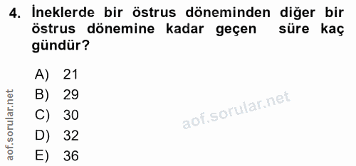 4. soru: İneklerde bir östrus döneminden diğer bir östrus dönemine kadar geçen süre kaç gündür? A) 21 B) 29 C) 30 D) 32 36