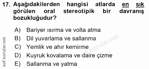 17. soru: Aşağıdakilerden hangisi atlarda en sık görülen oral stereotipik bir davranış bozukluğudur? A) Bariyer ısırma ve volta…