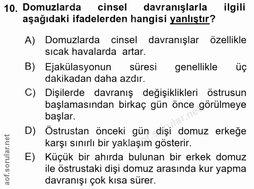 10. soru: Domuzlarda cinsel davranışlarla ilgili aşağıdaki ifadelerden hangisi yanlıştır? A) Domuzlarda cinsel davranışlar özel…