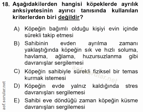 18. soru: Aşağıdakilerden hangisi köpeklerde ayrılık anksiyetesinin ayırıcı tanısında kullanılan kriterlerden biri değildir? A)…