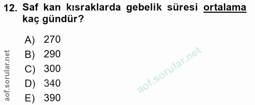 12. soru: Saf kan kısraklarda gebelik süresi ortalama kaç gündür? A) | 270 B) 290 C) 300 D) 340 E) 390