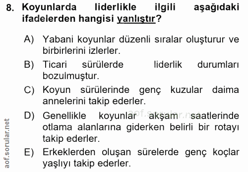 8. soru: Koyunlarda liderlikle ilgili aşağıdaki ifadelerden hangisi yanlıştır? A) Yabani koyunlar düzenli sıralar oluşturur ve…