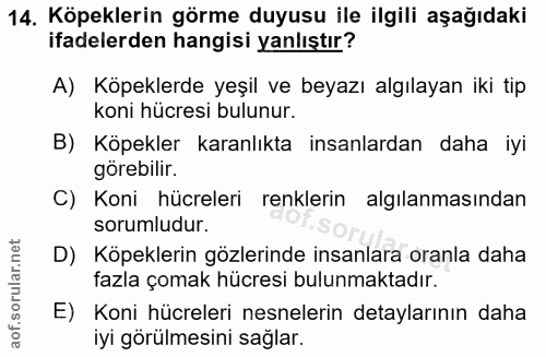 14. soru: Köpeklerin görme duyusu ile ilgili aşağıdaki ifadelerden hangisi yanlıştır? A) Köpeklerde yeşil ve beyazı algılayan i…